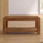 Kivona Modern Center Table with Storage